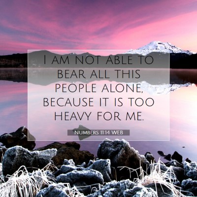 Picture 07 - Numbers 11:14 WEB - I am not able to bear all this people alone, - Bible Verse Picture