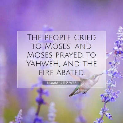 Picture 07 - Numbers 11:2 WEB - The people cried to Moses; and Moses prayed to - Bible Verse Picture