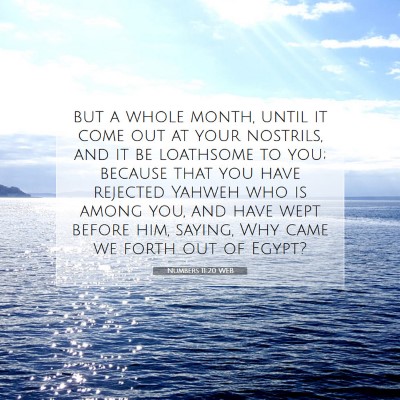 Picture 07 - Numbers 11:20 WEB - but a whole month, until it come out at your - Bible Verse Picture