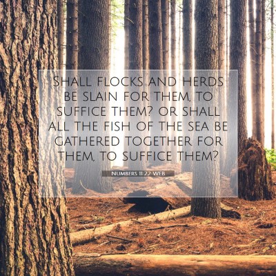 Picture 07 - Numbers 11:22 WEB - Shall flocks and herds be slain for them, to - Bible Verse Picture