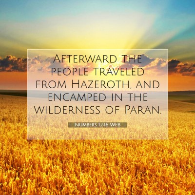 Picture 07 - Numbers 12:16 WEB - Afterward the people traveled from Hazeroth, and - Bible Verse Picture