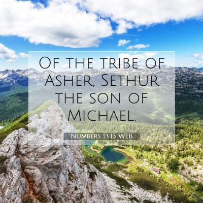 Picture 07 - Numbers 13:13 WEB - Of the tribe of Asher, Sethur the son of - Bible Verse Picture