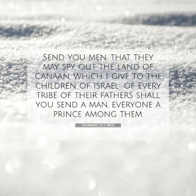 Picture 07 - Numbers 13:2 WEB - Send you men, that they may spy out the land of - Bible Verse Picture