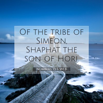 Picture 07 - Numbers 13:5 WEB - Of the tribe of Simeon, Shaphat the son of - Bible Verse Picture