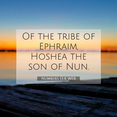 Picture 07 - Numbers 13:8 WEB - Of the tribe of Ephraim, Hoshea the son of - Bible Verse Picture