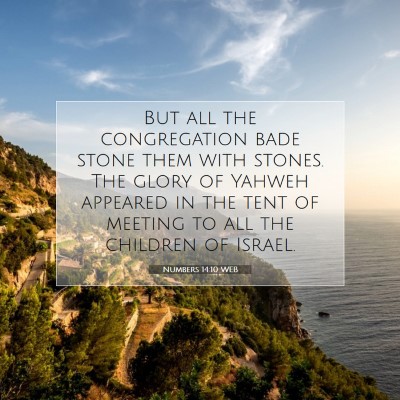 Picture 07 - Numbers 14:10 WEB - But all the congregation bade stone them with - Bible Verse Picture