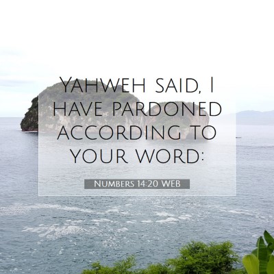 Picture 07 - Numbers 14:20 WEB - Yahweh said, I have pardoned according to your - Bible Verse Picture