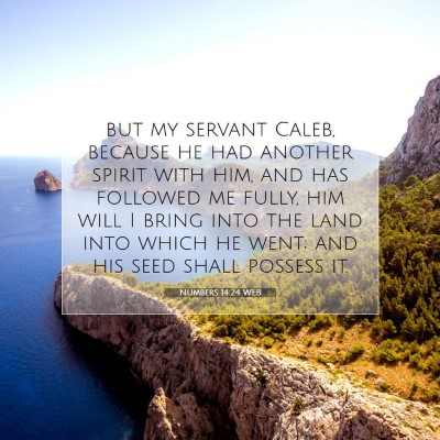 Picture 07 - Numbers 14:24 WEB - but my servant Caleb, because he had another - Bible Verse Picture