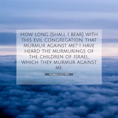 Picture 07 - Numbers 14:27 WEB - How long [shall I bear] with this evil - Bible Verse Picture