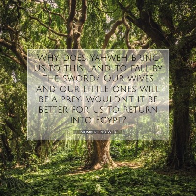 Picture 07 - Numbers 14:3 WEB - Why does Yahweh bring us to this land, to fall by - Bible Verse Picture