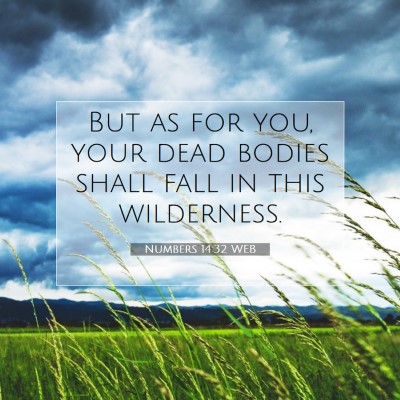 Picture 07 - Numbers 14:32 WEB - But as for you, your dead bodies shall fall in - Bible Verse Picture