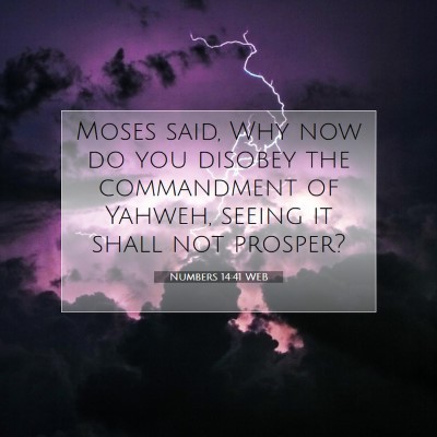 Picture 07 - Numbers 14:41 WEB - Moses said, Why now do you disobey the - Bible Verse Picture