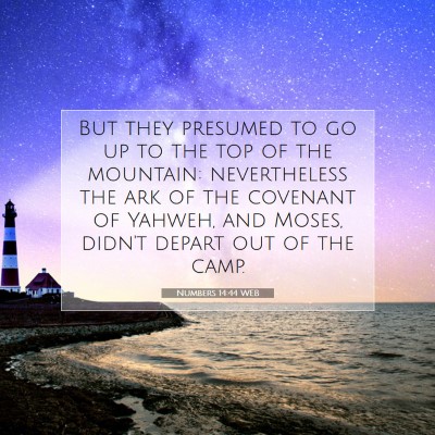 Picture 07 - Numbers 14:44 WEB - But they presumed to go up to the top of the - Bible Verse Picture