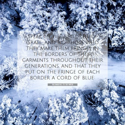 Picture 07 - Numbers 15:38 WEB - Speak to the children of Israel, and bid those - Bible Verse Picture