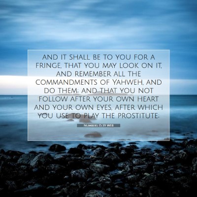 Picture 07 - Numbers 15:39 WEB - and it shall be to you for a fringe, that you may - Bible Verse Picture
