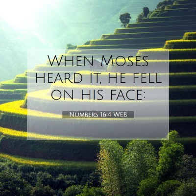 Picture 07 - Numbers 16:4 WEB - When Moses heard it, he fell on his - Bible Verse Picture