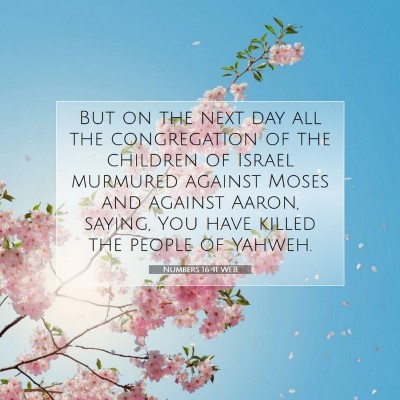 Picture 07 - Numbers 16:41 WEB - But on the next day all the congregation of the - Bible Verse Picture