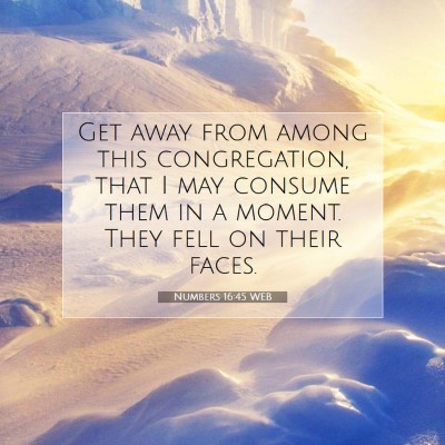 Picture 07 - Numbers 16:45 WEB - Get away from among this congregation, that I may - Bible Verse Picture