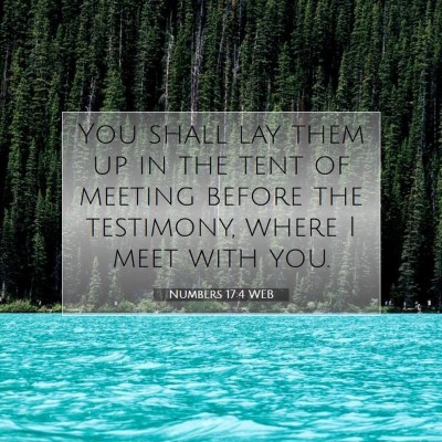 Picture 07 - Numbers 17:4 WEB - You shall lay them up in the tent of meeting - Bible Verse Picture