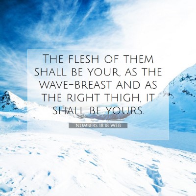 Picture 07 - Numbers 18:18 WEB - The flesh of them shall be your, as the - Bible Verse Picture