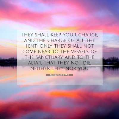 Picture 07 - Numbers 18:3 WEB - They shall keep your charge, and the charge of - Bible Verse Picture