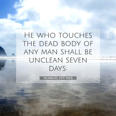 Picture 07 - Numbers 19:11 WEB - He who touches the dead body of any man shall be - Bible Verse Picture