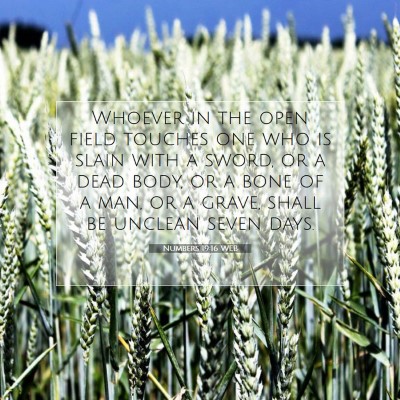 Picture 07 - Numbers 19:16 WEB - Whoever in the open field touches one who is - Bible Verse Picture
