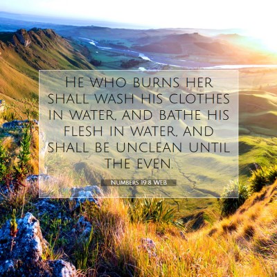 Picture 07 - Numbers 19:8 WEB - He who burns her shall wash his clothes in water, - Bible Verse Picture