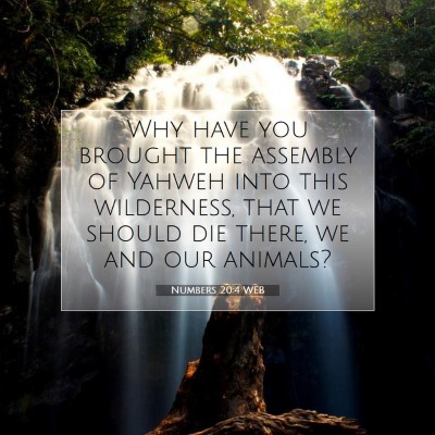 Picture 07 - Numbers 20:4 WEB - Why have you brought the assembly of Yahweh into - Bible Verse Picture