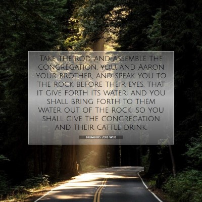 Picture 07 - Numbers 20:8 WEB - Take the rod, and assemble the congregation, you, - Bible Verse Picture