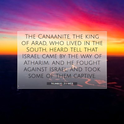 Picture 07 - Numbers 21:1 WEB - The Canaanite, the king of Arad, who lived in the - Bible Verse Picture