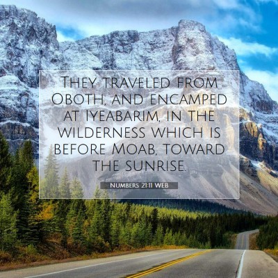 Picture 07 - Numbers 21:11 WEB - They traveled from Oboth, and encamped at - Bible Verse Picture
