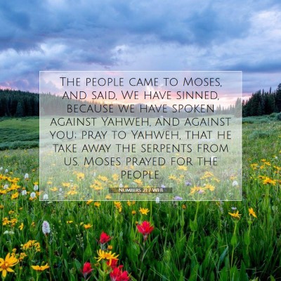 Picture 07 - Numbers 21:7 WEB - The people came to Moses, and said, We have - Bible Verse Picture