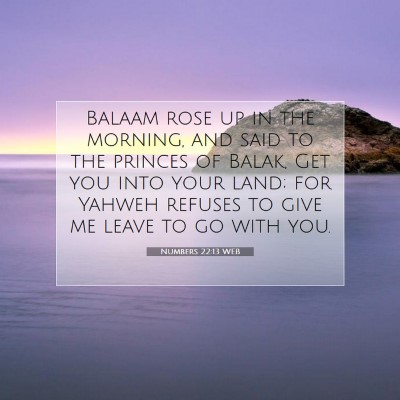 Picture 07 - Numbers 22:13 WEB - Balaam rose up in the morning, and said to the - Bible Verse Picture