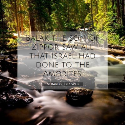 Picture 07 - Numbers 22:2 WEB - Balak the son of Zippor saw all that Israel had - Bible Verse Picture