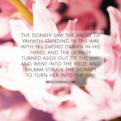 Picture 07 - Numbers 22:23 WEB - The donkey saw the angel of Yahweh standing in - Bible Verse Picture