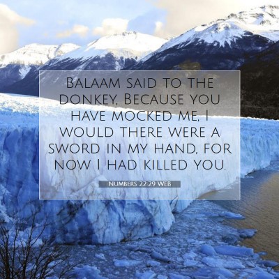 Picture 07 - Numbers 22:29 WEB - Balaam said to the donkey, Because you have - Bible Verse Picture