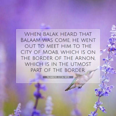 Picture 07 - Numbers 22:36 WEB - When Balak heard that Balaam was come, he went - Bible Verse Picture