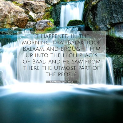 Picture 07 - Numbers 22:41 WEB - It happened in the morning, that Balak took - Bible Verse Picture