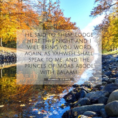 Picture 07 - Numbers 22:8 WEB - He said to them, Lodge here this night, and I - Bible Verse Picture