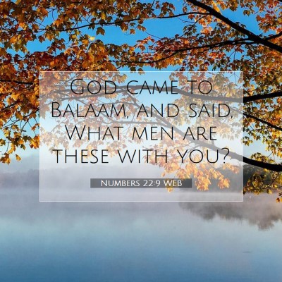 Picture 07 - Numbers 22:9 WEB - God came to Balaam, and said, What men are these - Bible Verse Picture