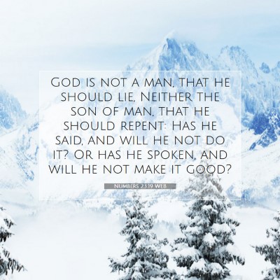 Picture 07 - Numbers 23:19 WEB - God is not a man, that he should lie, Neither the - Bible Verse Picture