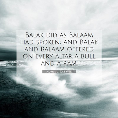 Picture 07 - Numbers 23:2 WEB - Balak did as Balaam had spoken; and Balak and - Bible Verse Picture