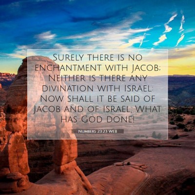 Picture 07 - Numbers 23:23 WEB - Surely there is no enchantment with Jacob; - Bible Verse Picture