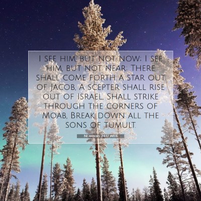 Picture 07 - Numbers 24:17 WEB - I see him, but not now; I see him, but not near: - Bible Verse Picture