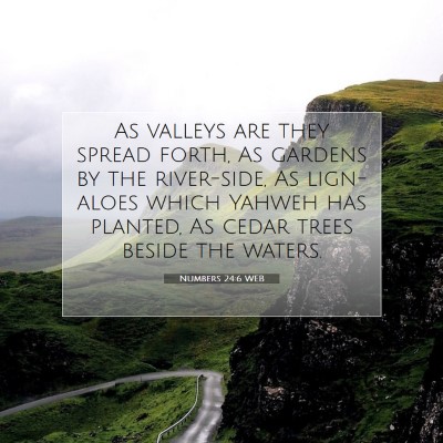 Picture 07 - Numbers 24:6 WEB - As valleys are they spread forth, As gardens by - Bible Verse Picture