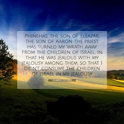Picture 07 - Numbers 25:11 WEB - Phinehas, the son of Eleazar, the son of Aaron - Bible Verse Picture