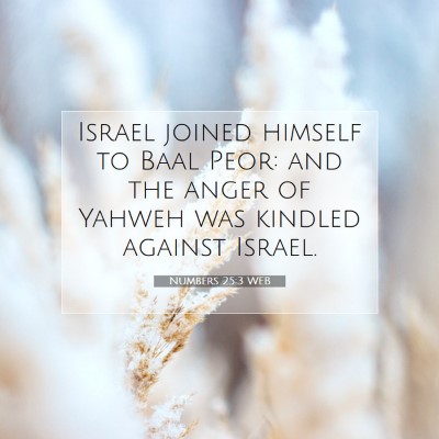 Picture 07 - Numbers 25:3 WEB - Israel joined himself to Baal Peor: and the anger - Bible Verse Picture