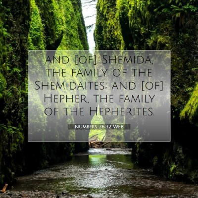Picture 07 - Numbers 26:32 WEB - and [of] Shemida, the family of the Shemidaites; - Bible Verse Picture