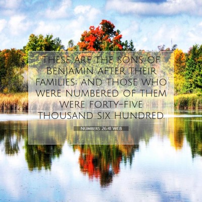 Picture 07 - Numbers 26:41 WEB - These are the sons of Benjamin after their - Bible Verse Picture